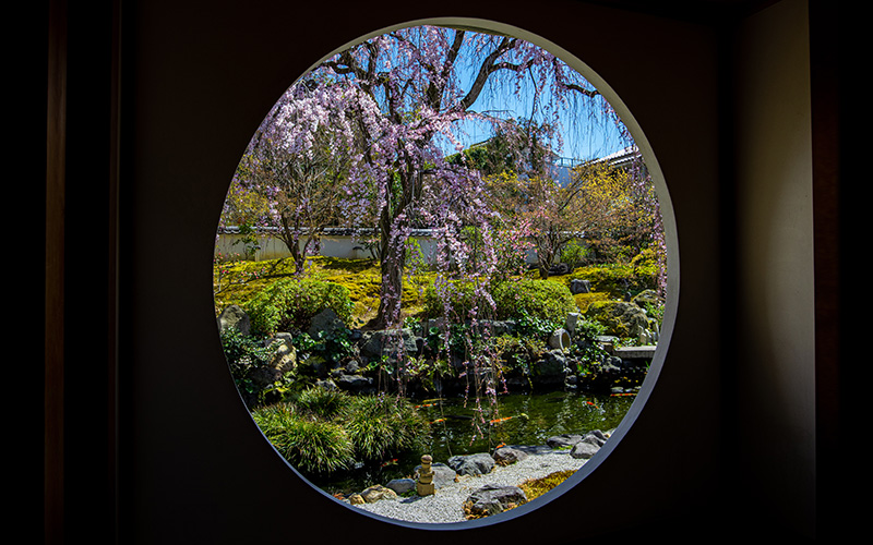 願成寺の円窓から日本庭園を眺める