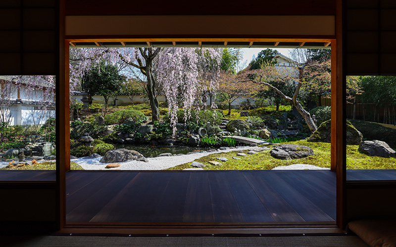 願成寺の本堂から庭園を眺める