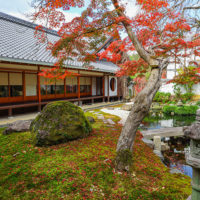 願成寺の庭園
