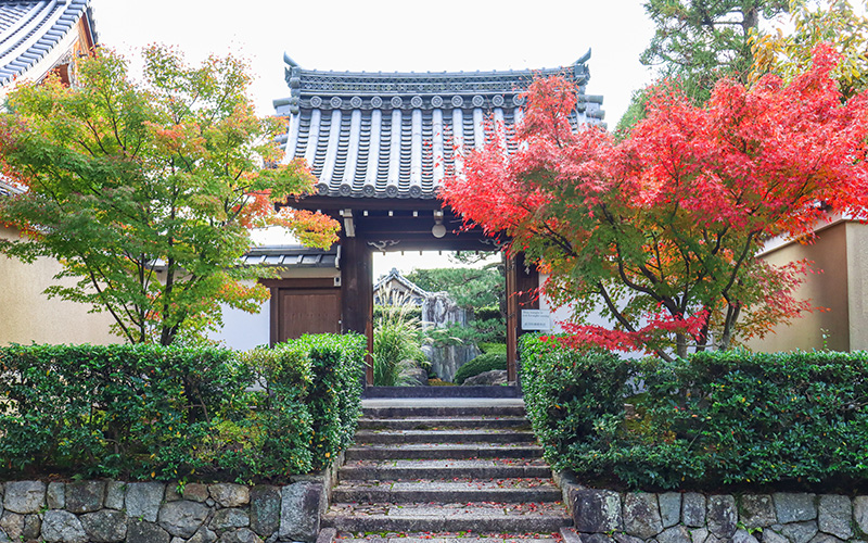願成寺_秋の山門
